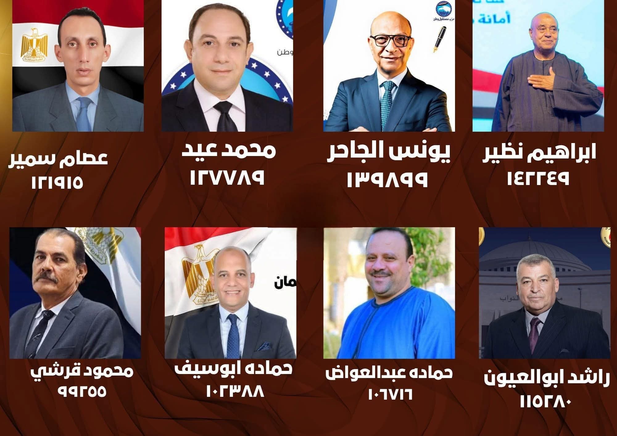 8 مرشحين في الإعادة بدائرة شمال أسيوط.. وإبراهيم نظير يتصدر السباق