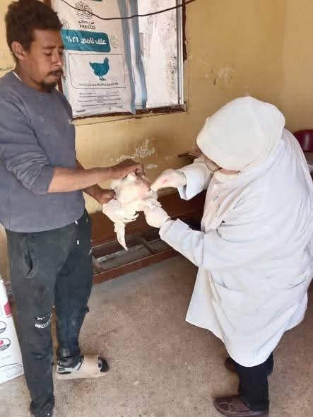 تحصين أكثر من 1.5 مليون طائر خلال أكتوبر