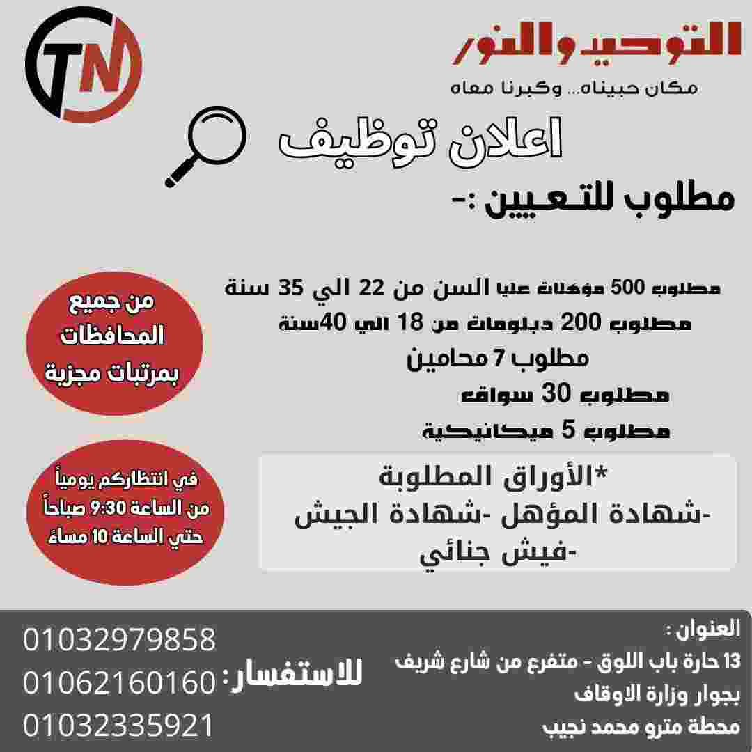 «التوحيد والنور» تعلن عن فرص توظيف واسعة لجميع المؤهلات