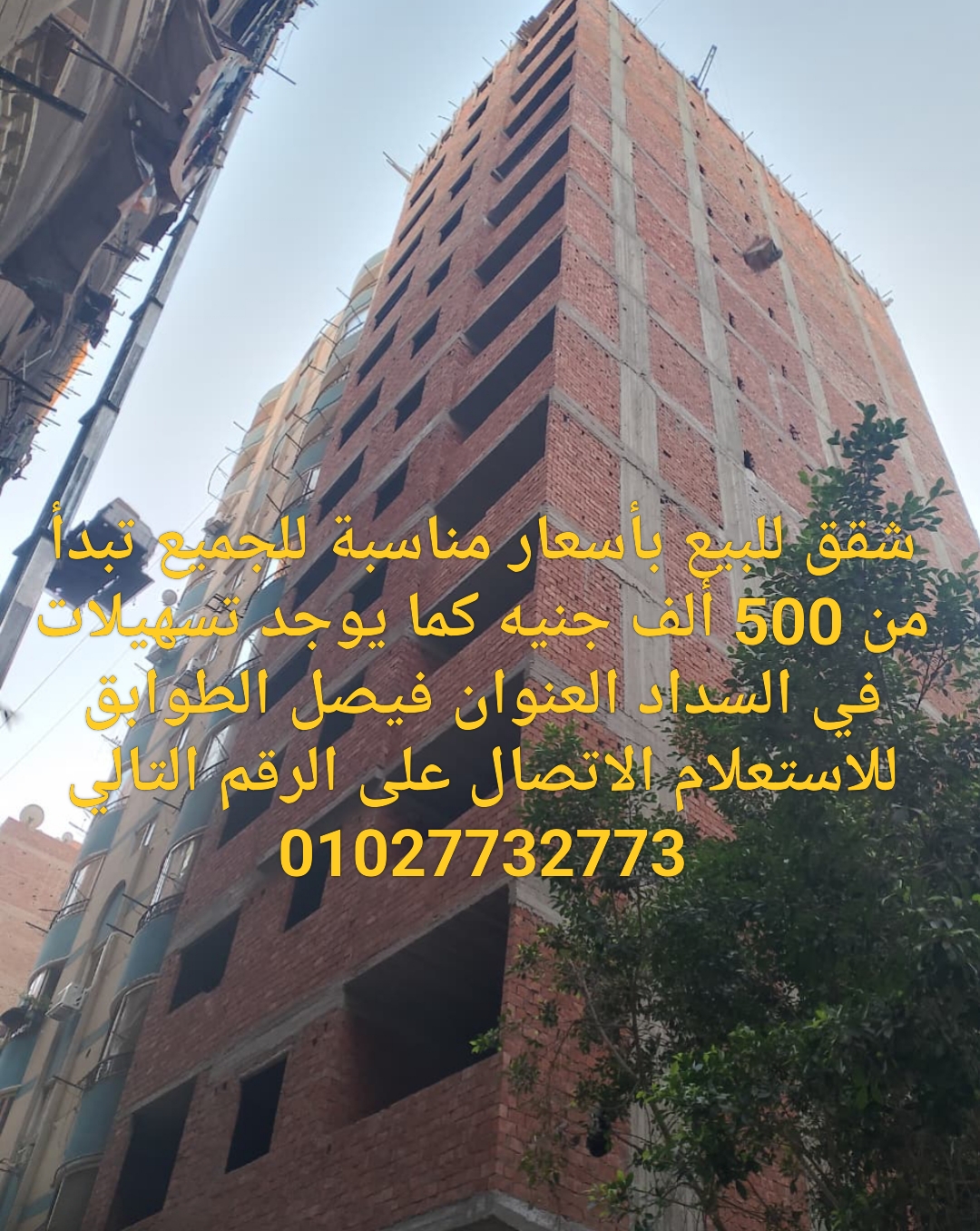 صورة جانبية 1