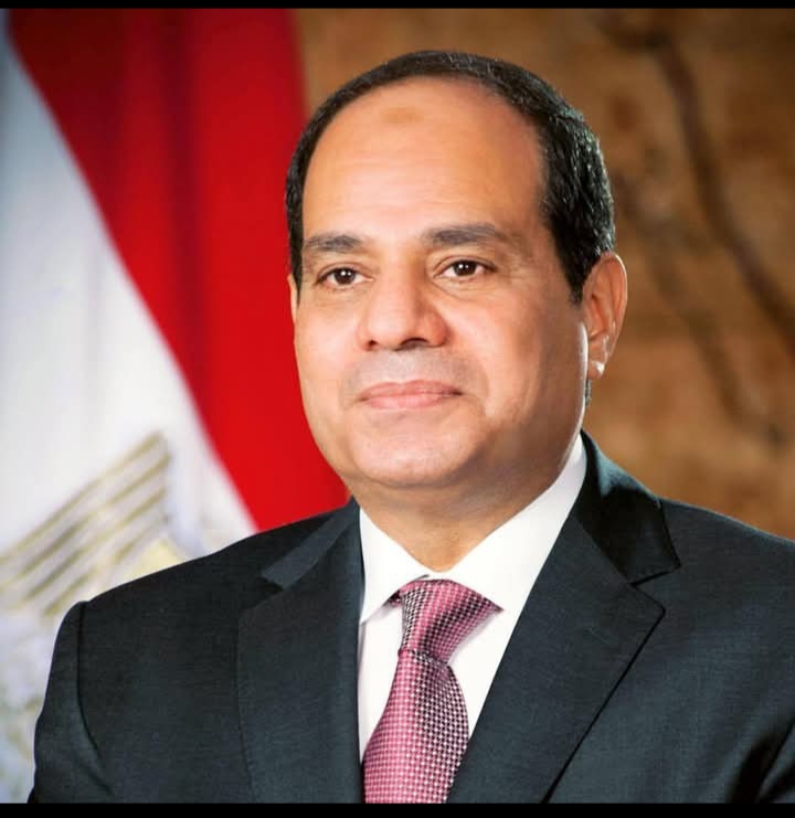 السيسي يطالب الوطنية للانتخابات بفحص الطعون المقدمة في بعض الدوائر 