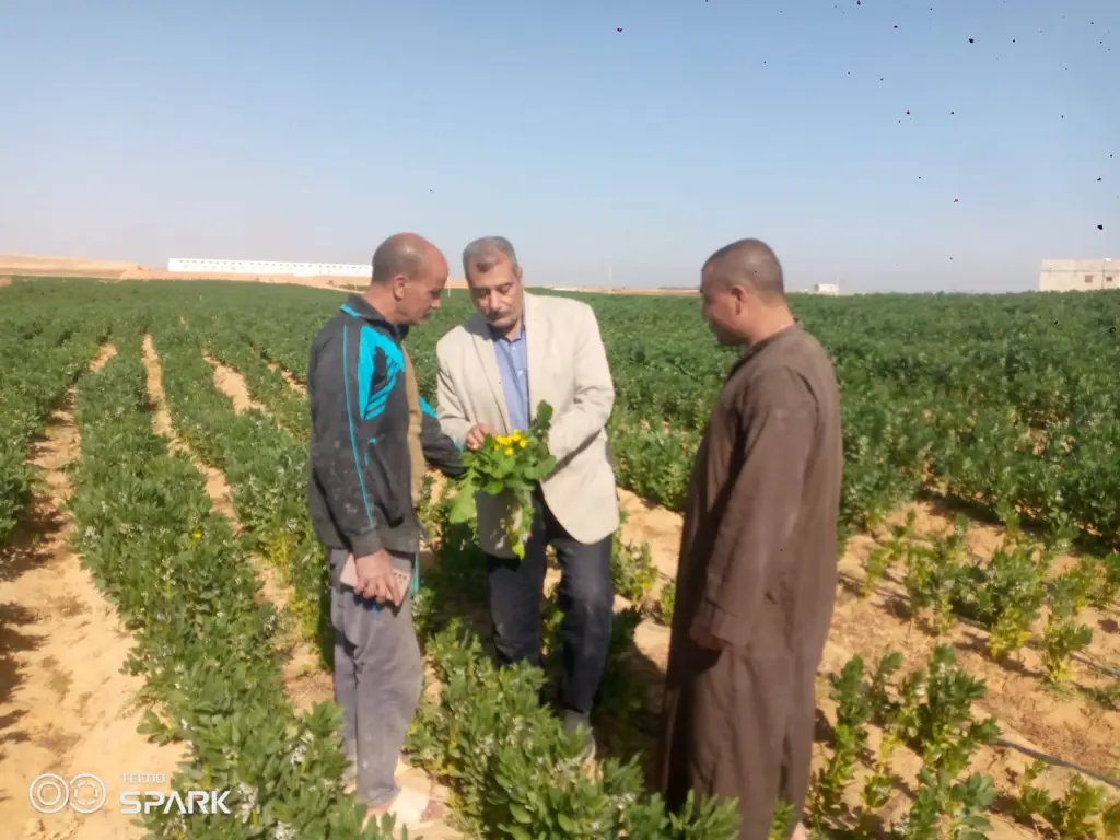 الأقصر تطرح أراضٍ زراعية بمساحات مختلفة للبيع بالمزاد