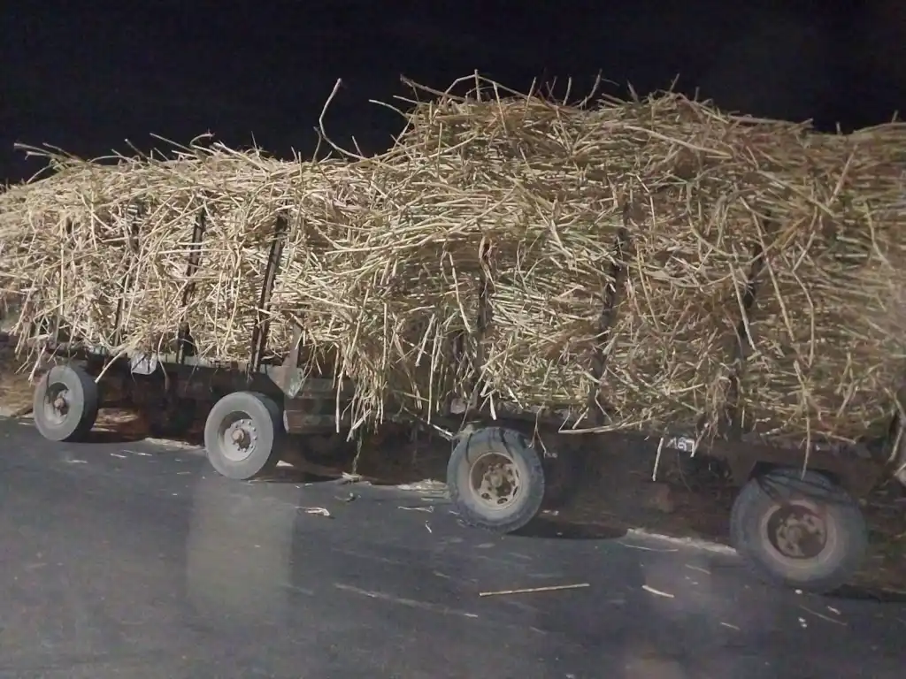 مقطورات قصب السكر تربك الحركة المرورية في قنا.. إليكم تفاصيل تدخل المحافظة