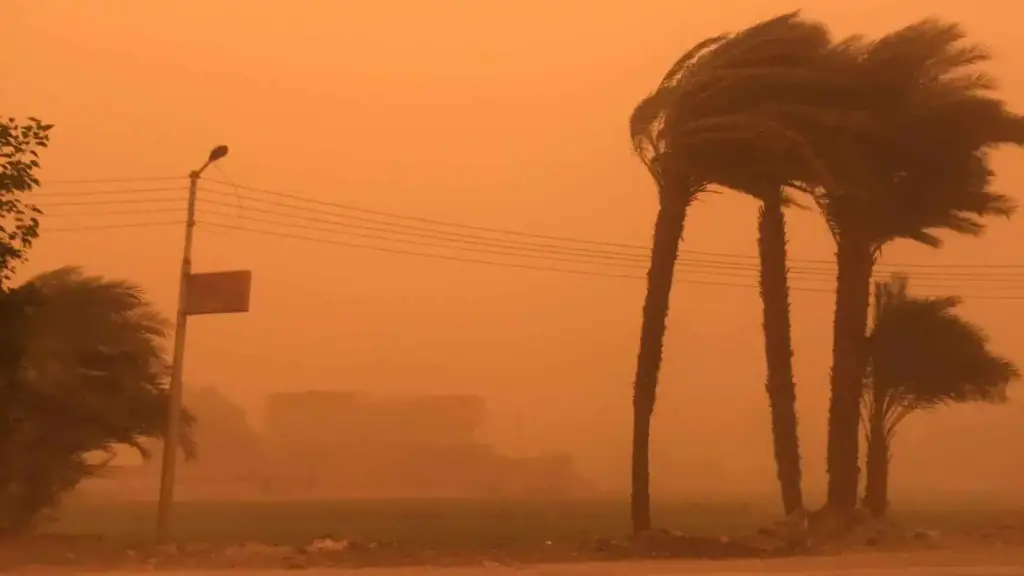 عودة الهدوء تدريجيًا بعد موجة رياح قوية ضربت محافظة أسيوط الليلة