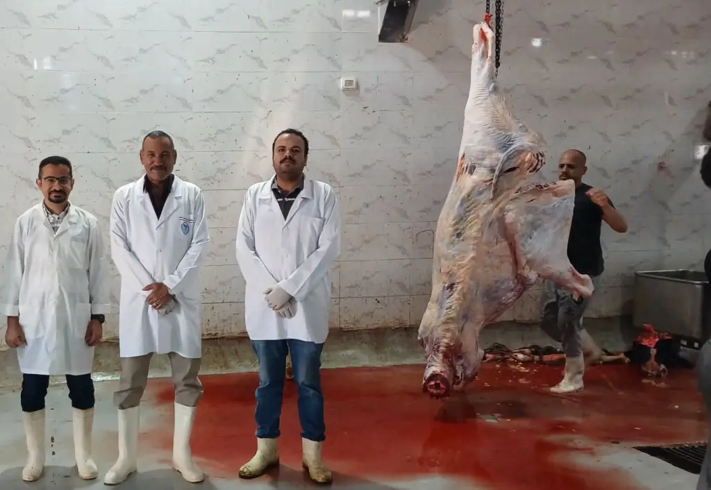 ضبط نحو طنين من اللحوم والدواجن الفاسدة في حملات بأسيوط