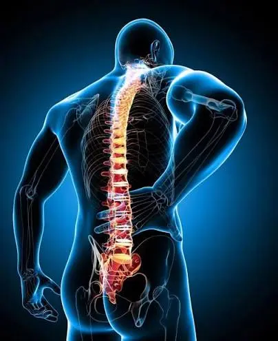 الانزلاق الغضروفي.. 90% من الآلام لا تحتاج إلى جراحة وهذه الرياضات تساعد على الشفاء